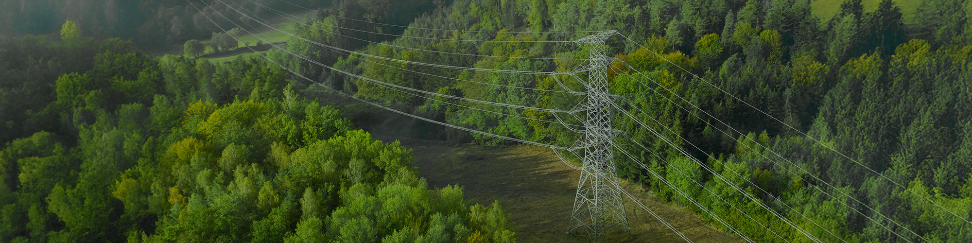 Telema & Green Future Project – Percorso di sostenibilità